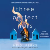 Three_Perfect_Liars